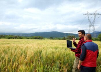 إقالة المدير الإقليمي للمكتب الوطني للكهرباء بإقليم شفشاون