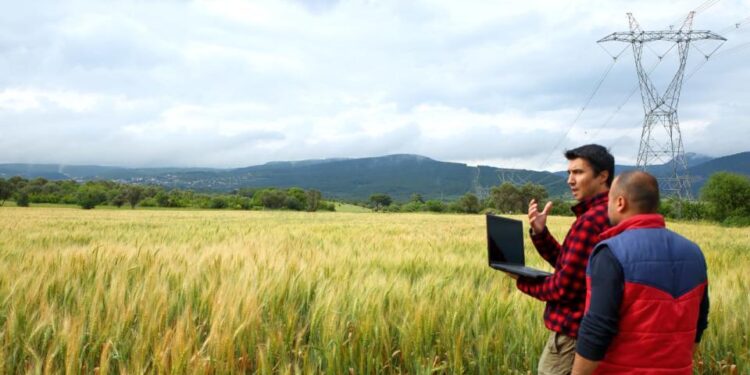 إقالة المدير الإقليمي للمكتب الوطني للكهرباء بإقليم شفشاون