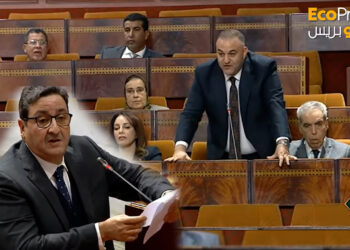 البرلماني منصف الطوب يطالب تعزيز تنافسية النقل الجوي