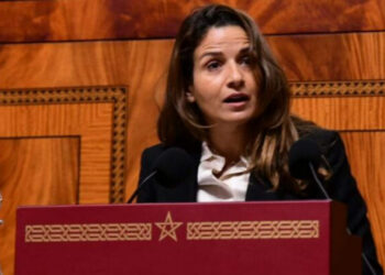 استثمارات بقيمة 30 مليار درهم في الشبكة الكهربائية الوطنية للنقل بين 2024 و2030