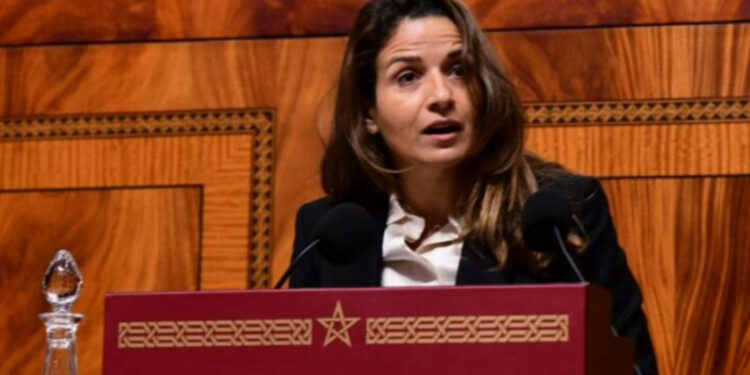 استثمارات بقيمة 30 مليار درهم في الشبكة الكهربائية الوطنية للنقل بين 2024 و2030