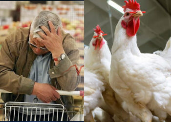 مهني ينتقد استغلال قانون حرية الأسعار للربح السريع على حساب جيوب المواطنين