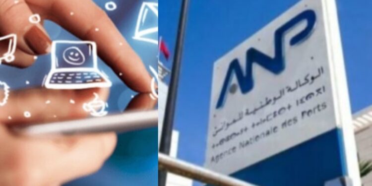 الموانئ.. بوابة جديدة أمام المقاولين والأشخاص الذاتيين