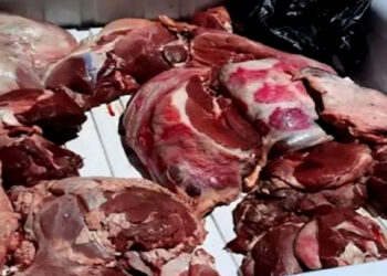 لحوم فاسدة تثير مخاوف الطنجاويين