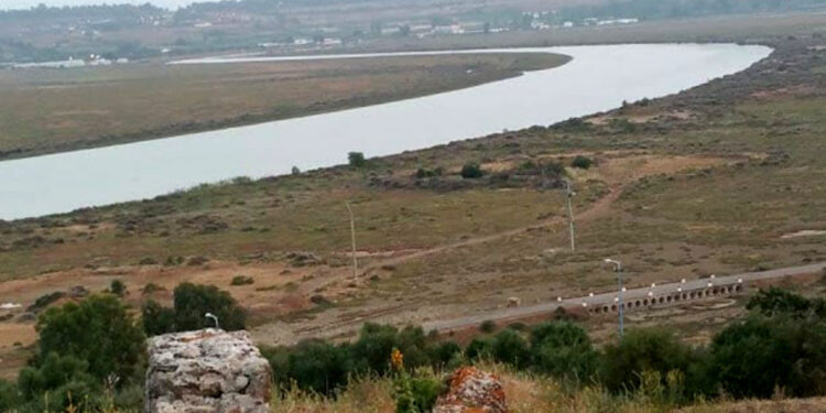 العرائش: المصادقة على تحديد مدارات 18 دوار بدائرة اللوكوس