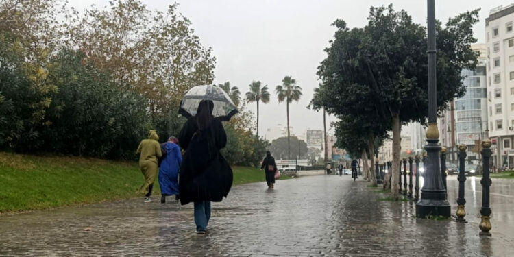 أمطار مرتقبة بطنجة غدا الإثنين.. مديرية الأرصاد تكشف التفاصيل