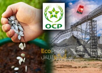 الفوسفاط المغربي يواجهة اتهامات جديدة من الاتحاد الأوروبي