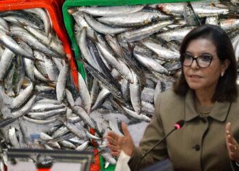 ارتفاع صادرات الصيد البحري والشعب المغربي يشتري السردين بـ 25 درهم !!