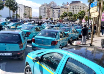 انطلاق استخدام رخصة الثقة البيومترية في تنقيط سيارات الأجرة بطنجة-أصيلة