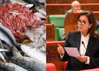 المغرب ينتج 1,42 مليون طن من المنتجات البحرية خلال 2024