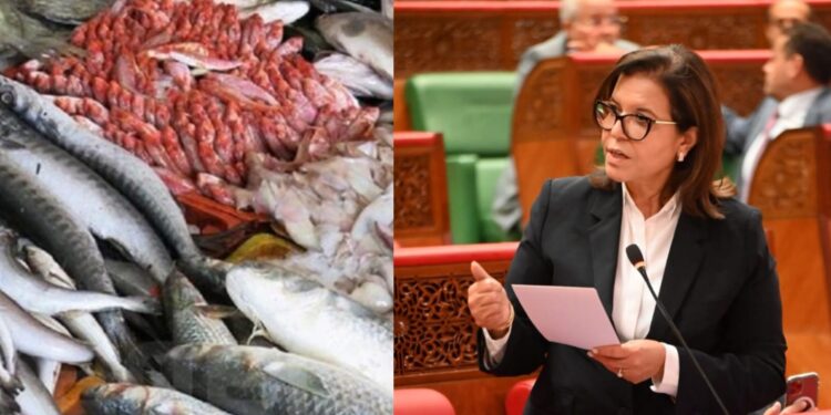 المغرب ينتج 1,42 مليون طن من المنتجات البحرية خلال 2024