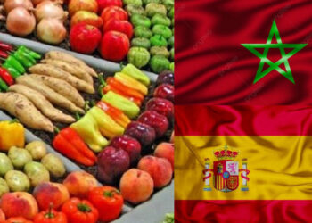 صادرات المغرب من المنتجات الزراعية نحو إسبانيا ترتفع