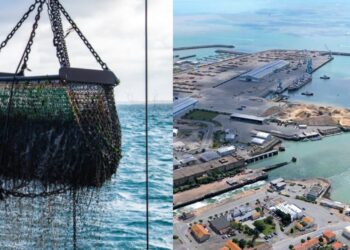 ميناء الناظور.. مفرغات منتجات الصيد البحري تسجل انخفاضا في يناير