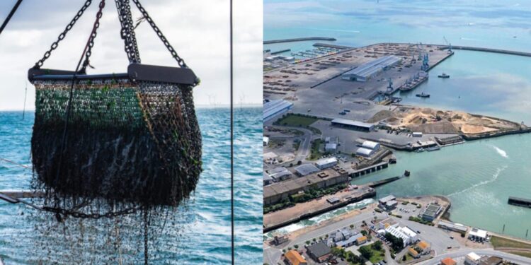 ميناء الناظور.. مفرغات منتجات الصيد البحري تسجل انخفاضا في يناير