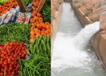المغرب يواصل تصدير منتجاته الفلاحية رغم أزمة الجفاف