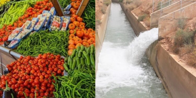 المغرب يواصل تصدير منتجاته الفلاحية رغم أزمة الجفاف