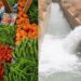 المغرب يواصل تصدير منتجاته الفلاحية رغم أزمة الجفاف