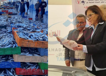 بعد استنزاف الثروة السمكية.. الدريوش تعلن الحرب على المضاربين في أسواق السمك