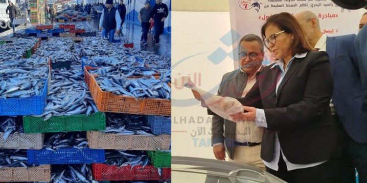 بعد استنزاف الثروة السمكية.. الدريوش تعلن الحرب على المضاربين في أسواق السمك