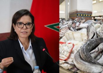 صادم.. كاتبة الصيد البحري تفاجئ المغاربة بخصوص أسعار السمك في شهر رمضان