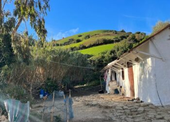 مختلة عقليا  تهاجم مدرسة عين بلال في بني حرشن