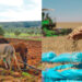 السياسة الفلاحية والغذائية بالمغرب