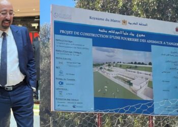 جماعة طنجة تعلن تقدم أشغال إحداث محجر مخصص للحيوانات الضالة