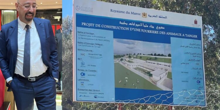 جماعة طنجة تعلن تقدم أشغال إحداث محجر مخصص للحيوانات الضالة