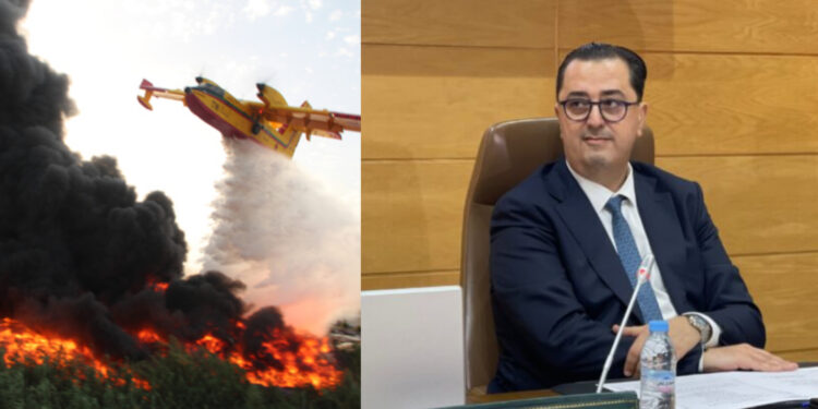 الوالي التازي