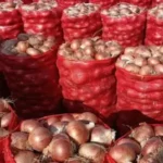 ارتفاع أسعار البصل في المغرب بين العرض والطلب وتحديات التخزين