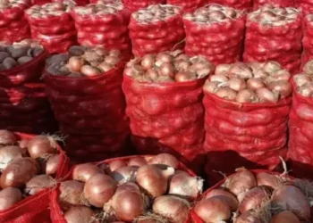ارتفاع أسعار البصل في المغرب بين العرض والطلب وتحديات التخزين