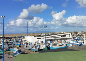 مفرغات الصيد البحري بميناء طنجة تتراجع بنسبة 11 في المائة