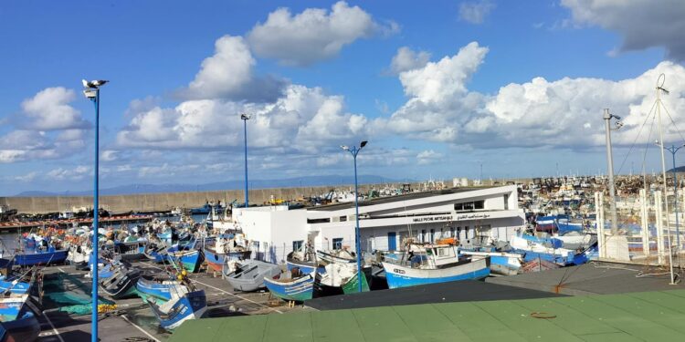 مفرغات الصيد البحري بميناء طنجة تتراجع بنسبة 11 في المائة