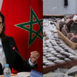 تموين الاسواق بالاسماك