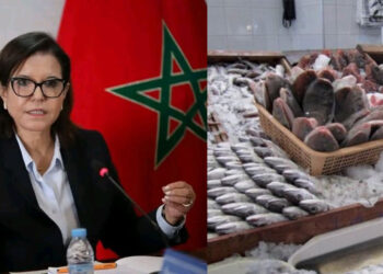 تموين الاسواق بالاسماك