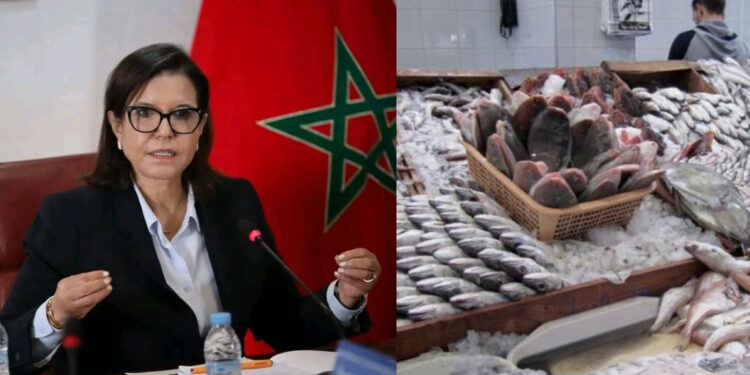 تموين الاسواق بالاسماك