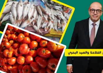 الأمن الغذائي والسيادة الغذائية في المغرب.. تحديات الريع واحتكار الموارد