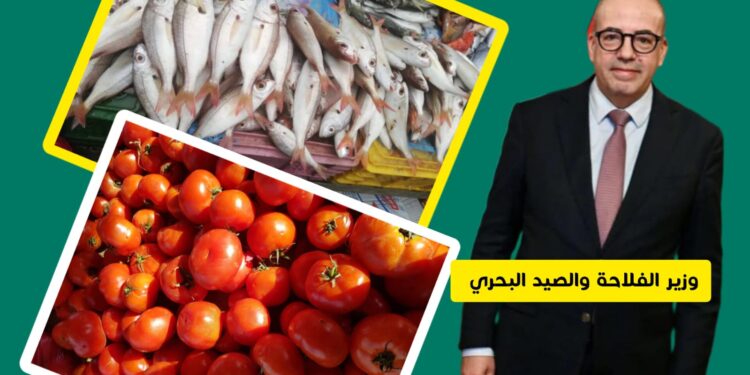 الأمن الغذائي والسيادة الغذائية في المغرب.. تحديات الريع واحتكار الموارد