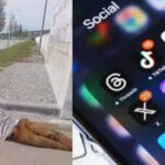 طرد حارس أمن