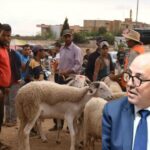 وزير الفلاحة يكشف تفاصيل إلغاء نحر الأضحية بالمغرب