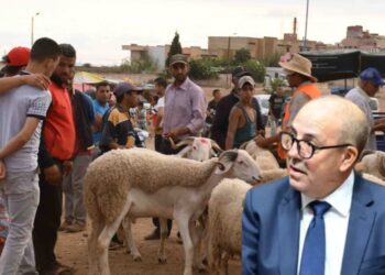 وزير الفلاحة يكشف تفاصيل إلغاء نحر الأضحية بالمغرب