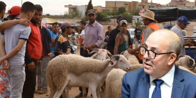 وزير الفلاحة يكشف تفاصيل إلغاء نحر الأضحية بالمغرب