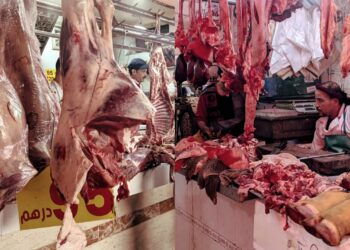 اختلالات في المجازر البلدية لطنجة تنذر بأزمة تموين اللحوم