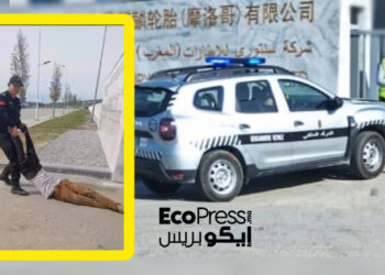 شركة صينية في طنجة تيك