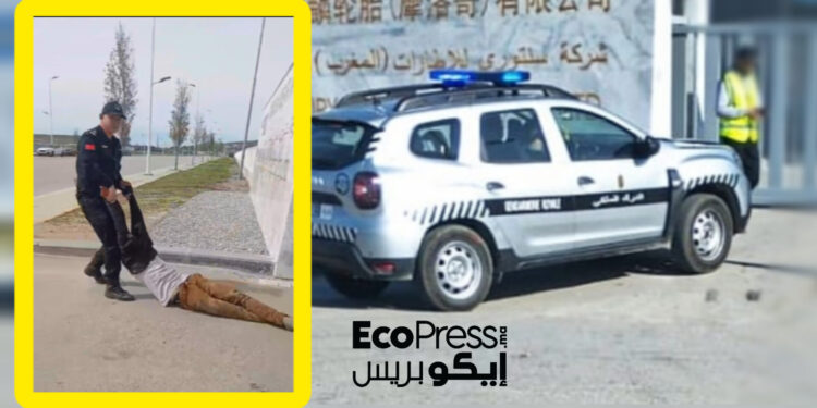 شركة صينية في طنجة تيك