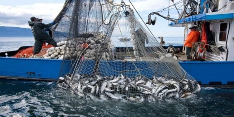 روسيا تستحوذ على السردين المغربي بموجب اتفاقية ممتدة لأربع سنوات 