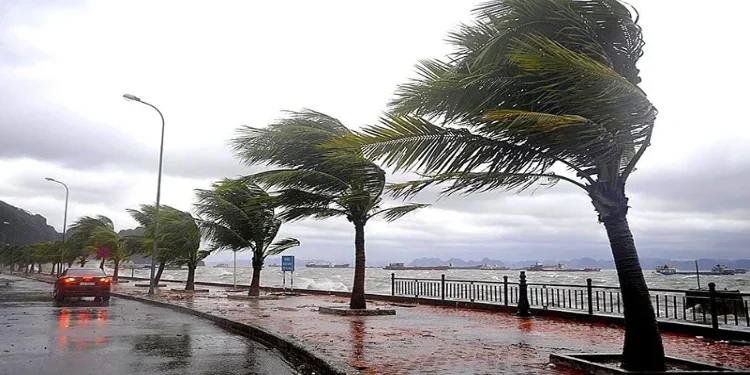 أمطار متفاوتة ورياح قوية بشمال وغرب المملكة وتقلبات مناخية بحر الأسبوع المقبل