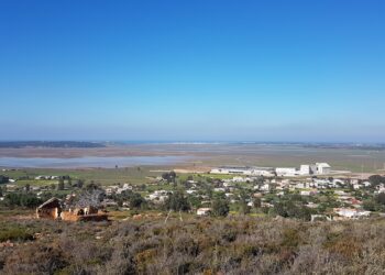 لماذا استفادت صوميكوتراد من 20 هكتارا في جماعة حجر النحل ؟