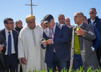 المعرض الدولي للفلاحة بمكناس.. تحديات ومفارقات خلف الأضواء المسلطة