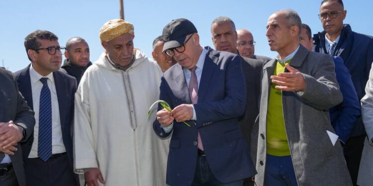 المعرض الدولي للفلاحة بمكناس.. تحديات ومفارقات خلف الأضواء المسلطة